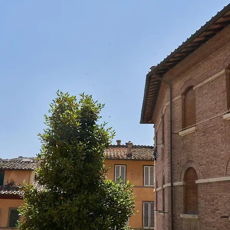 Sergio's House Siena